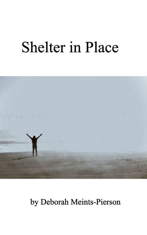 Produktbild: Shelter in Place