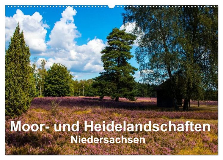 Produktbild: Moor- und Heidelandschaften Niedersachsen (Wandkalender 2027 DIN A2 quer), CALVENDO Monatskalender