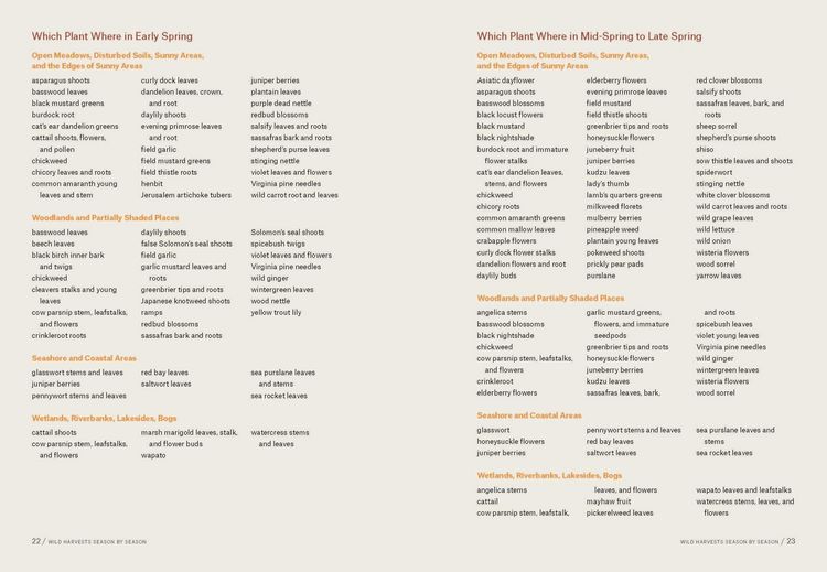 Produktbild: Southeast Foraging