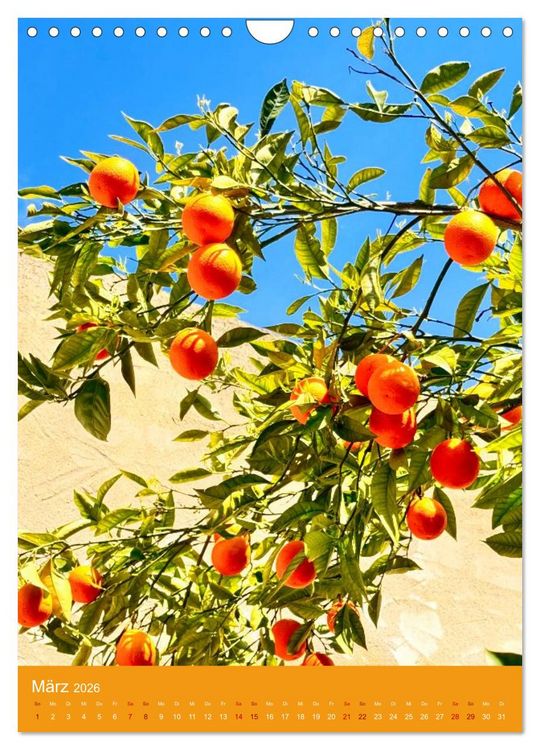 Produktbild: Magisches Cagliari und Campidano (Wandkalender 2026 DIN A4 hoch), CALVENDO Monatskalender