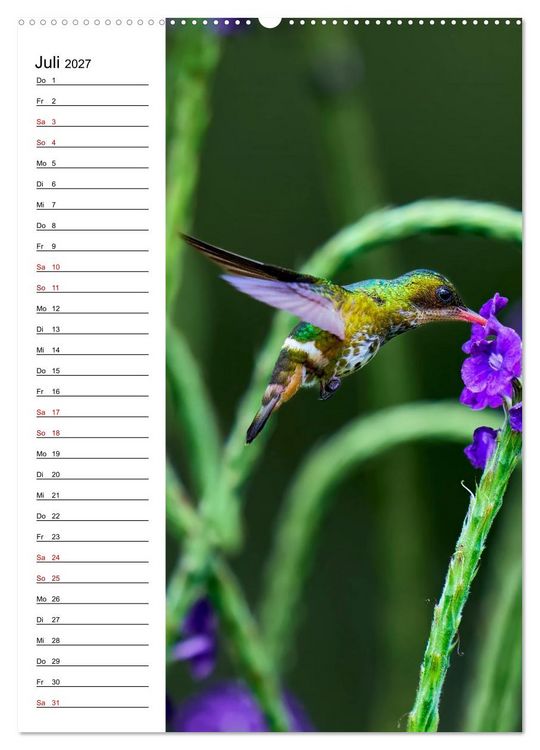 Produktbild: Costa Rica - Magische Tiere des Regenwaldes (Wandkalender 2027 DIN A2 hoch), CALVENDO Monatskalender