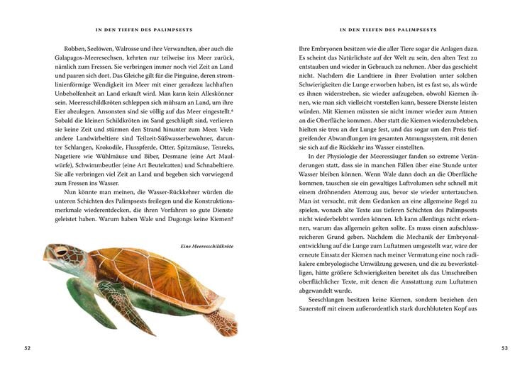 Produktbild: Das gro&szlig;e Buch der Evolution