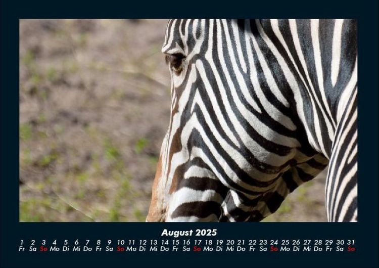 Produktbild: Zebrazauber 2025 Fotokalender DIN A4
