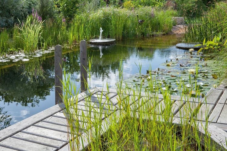 Produktbild: Wasser im Garten 2