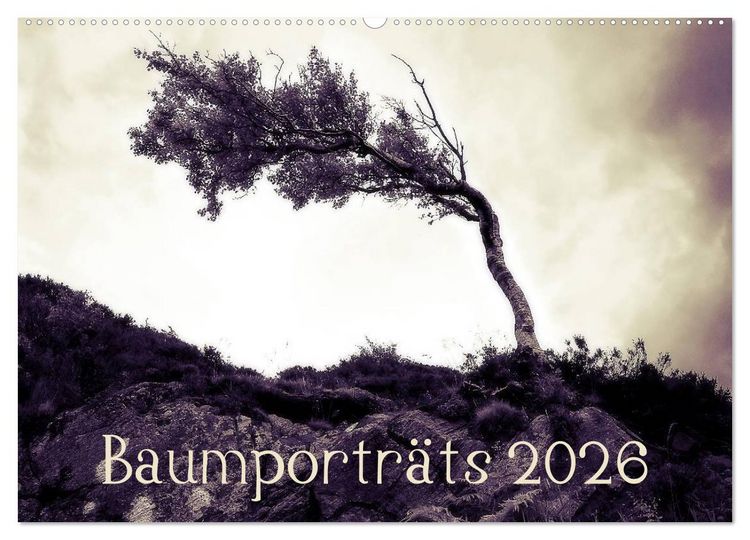 Produktbild: Baumportr&auml;ts 2026 (Wandkalender 2026 DIN A2 quer), CALVENDO Monatskalender
