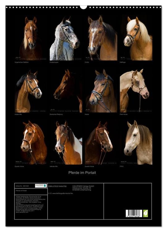 Produktbild: Pferde im Portait (Wandkalender 2026 DIN A2 hoch), CALVENDO Monatskalender