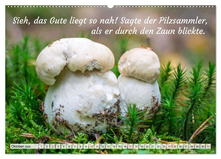 Produktbild: Junge, was hast du`s eilig (hochwertiger Premium Wandkalender 2026 DIN A2 quer), Kunstdruck in Hochglanz