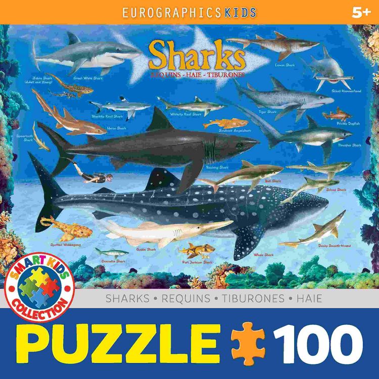 Produktbild: Sharks 100 Pieces Eurographics Kids 5+