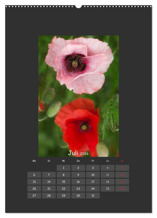 Produktbild: Mohn (Wandkalender 2026 DIN A2 hoch), CALVENDO Monatskalender