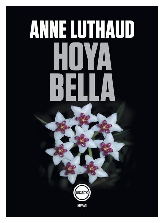Produktbild: Hoya bella