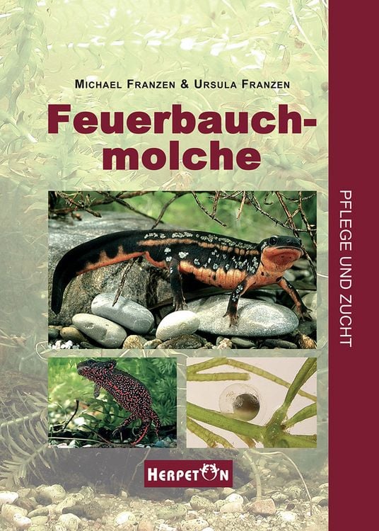 Produktbild: Feuerbauchmolche