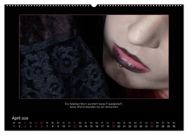 Produktbild: Freundschaft (Wandkalender 2026 DIN A2 quer), CALVENDO Monatskalender