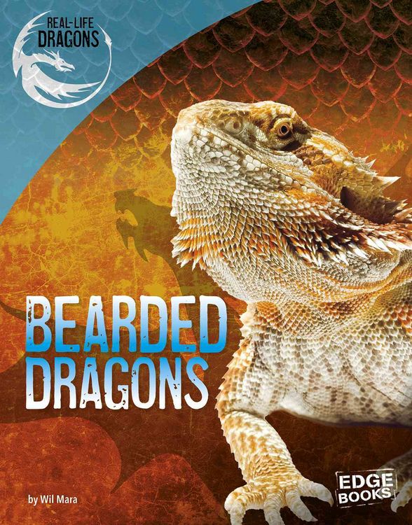 Produktbild: Bearded Dragons