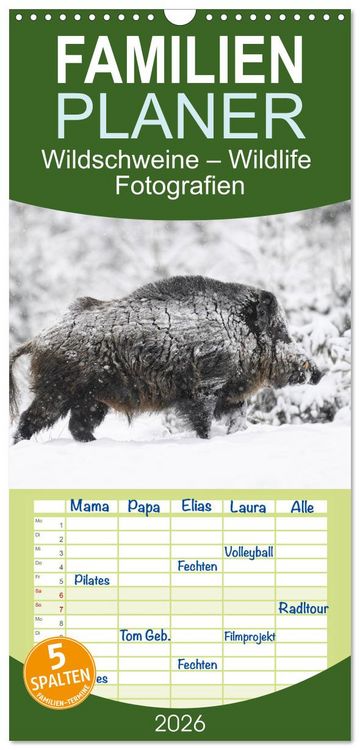 Produktbild: Familienplaner 2026 - Wildschweine &ndash; Wildlife Fotografien mit 5 Spalten (Wandkalender, 21 x 45 cm) CALVENDO