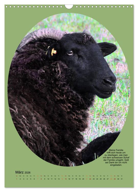 Produktbild: Scharfe Portraits (Wandkalender 2026 DIN A3 hoch), CALVENDO Monatskalender
