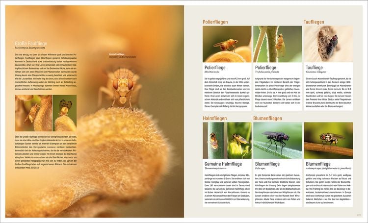 Produktbild: Mein Artenretter Garten