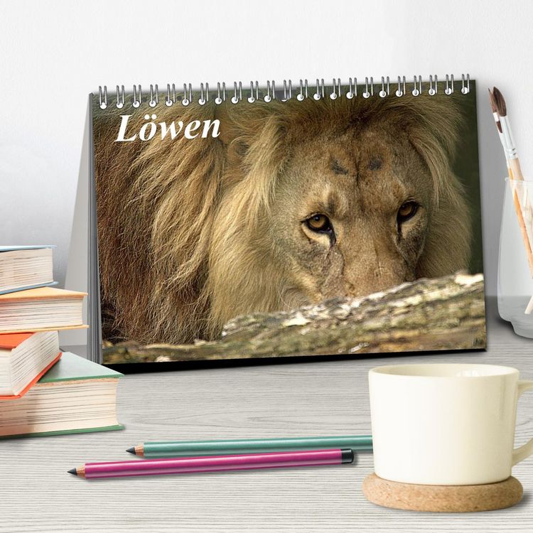 Produktbild: L&ouml;wen (Tischkalender 2026 DIN A5 quer), CALVENDO Monatskalender