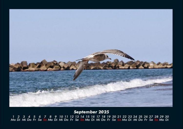 Produktbild: Str&auml;nde der Welt 2025 Fotokalender DIN A4