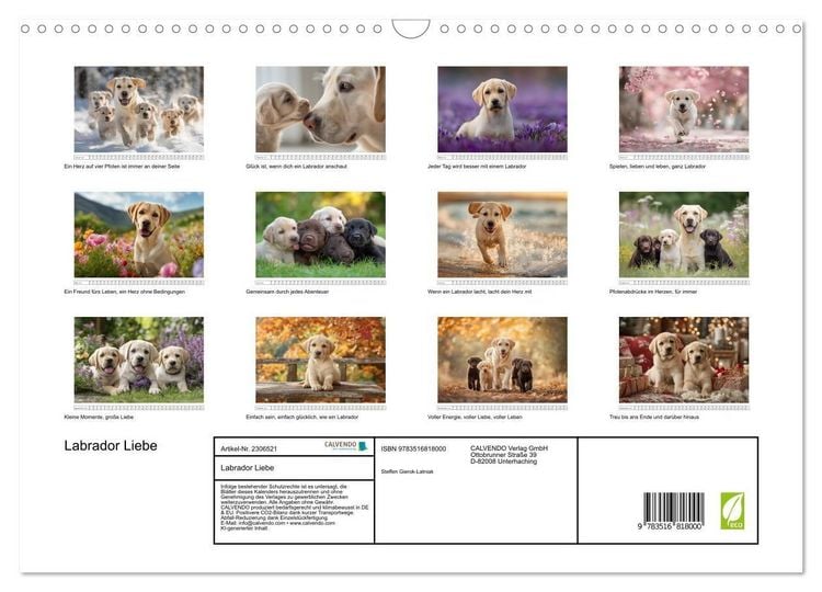Produktbild: Labrador Liebe (Wandkalender 2027 DIN A3 quer), CALVENDO Monatskalender