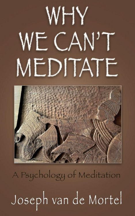 Produktbild: Why We Can't Meditate