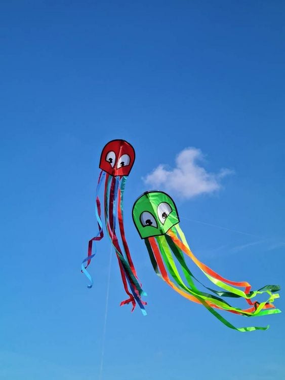 Produktbild: Paul G&uuml;nther 1163 - OCTOPUS, Einleiner-Drachen, 33cmx2,5m, 1 St&uuml;ck (Farbauswahl nicht m&ouml;glich!)