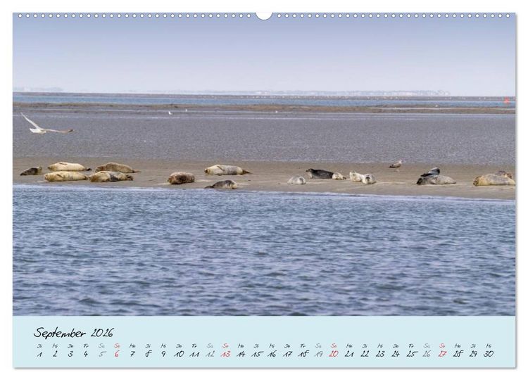 Produktbild: Nordsee &ndash; D&uuml;nen, Sand, Wasser und Wolken (Wandkalender 2026 DIN A2 quer), CALVENDO Monatskalender