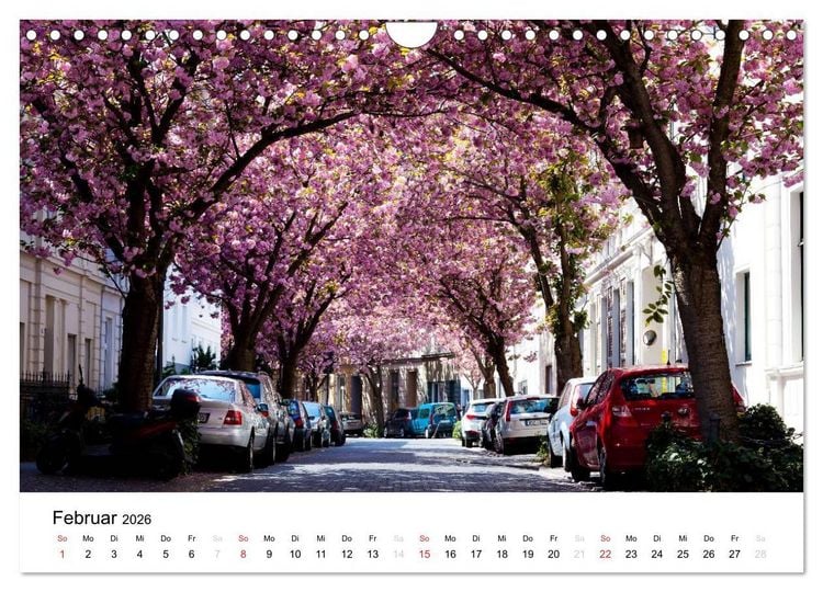 Produktbild: Bonn - Kirschbl&uuml;tenfest in der Altstadt (Wandkalender 2026 DIN A4 quer), CALVENDO Monatskalender