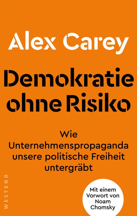 Produktbild: Demokratie ohne Risiko