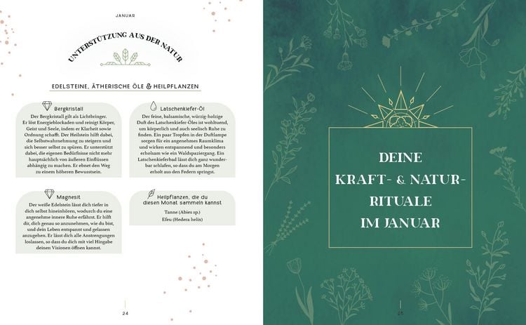 Produktbild: Kraft- und Natur-Rituale f&uuml;r die Seele