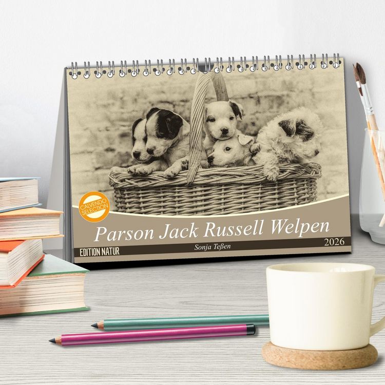 Produktbild: Parson Jack Russel Welpen (Tischkalender 2026 DIN A5 quer), CALVENDO Monatskalender