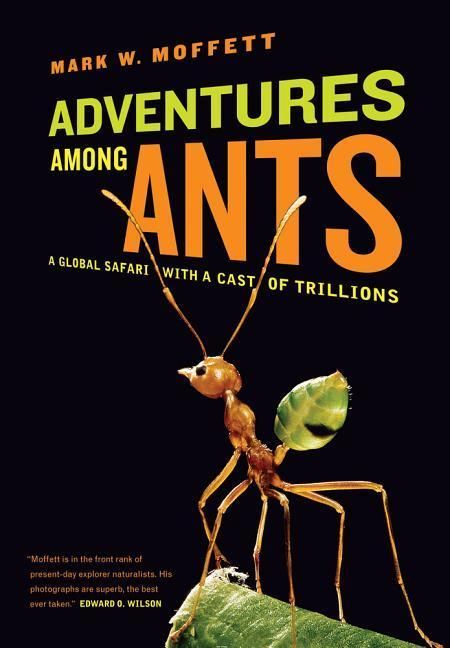Produktbild: Adventures among Ants