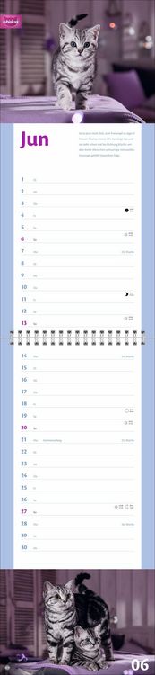 Produktbild: Whiskas Katzenleben Kalender 2027