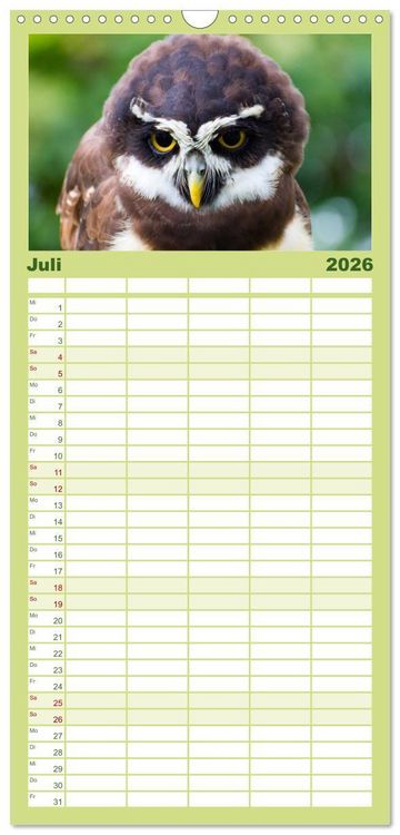 Produktbild: Familienplaner 2026 - Eulen. W&auml;chter der Nacht mit 5 Spalten (Wandkalender, 21 x 45 cm) CALVENDO