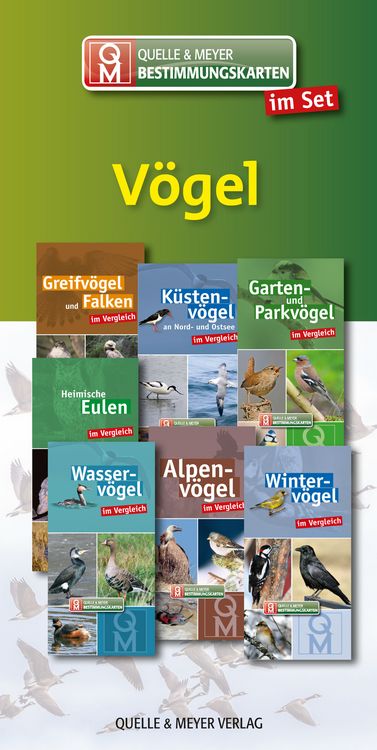 Produktbild: Bestimmungskarten-Set &bdquo;V&ouml;gel&ldquo;
