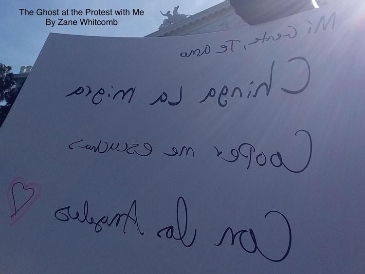 Produktbild: The Ghost at the Protest with Me (My Story, #4)