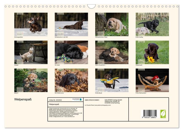 Produktbild: Welpenspa&szlig; (Wandkalender 2026 DIN A3 quer), CALVENDO Monatskalender
