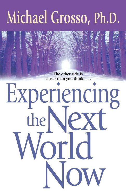 Produktbild: Experiencing the Next World Now
