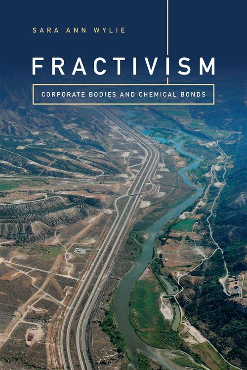 Produktbild: Fractivism