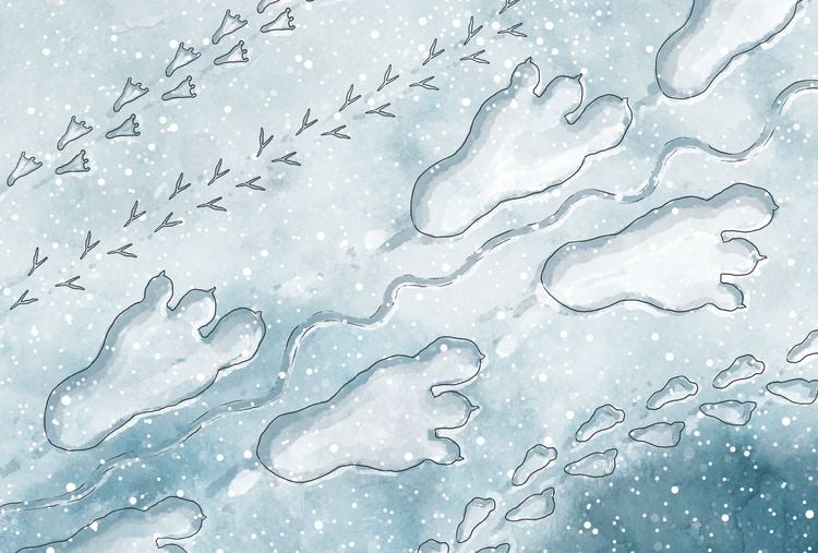 Produktbild: Bakabu und der geheimnisvolle Jodel-Yeti