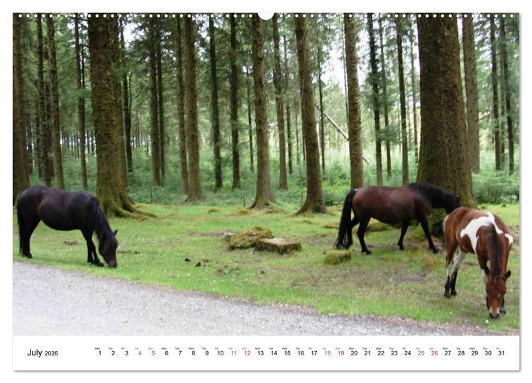 Produktbild: Charming - Mystic Devon Dartmoor, South England (High Quality Premium Wall Calendar 2026 DIN A2 landscape),CALVENDO 12 Month Wall Calendar