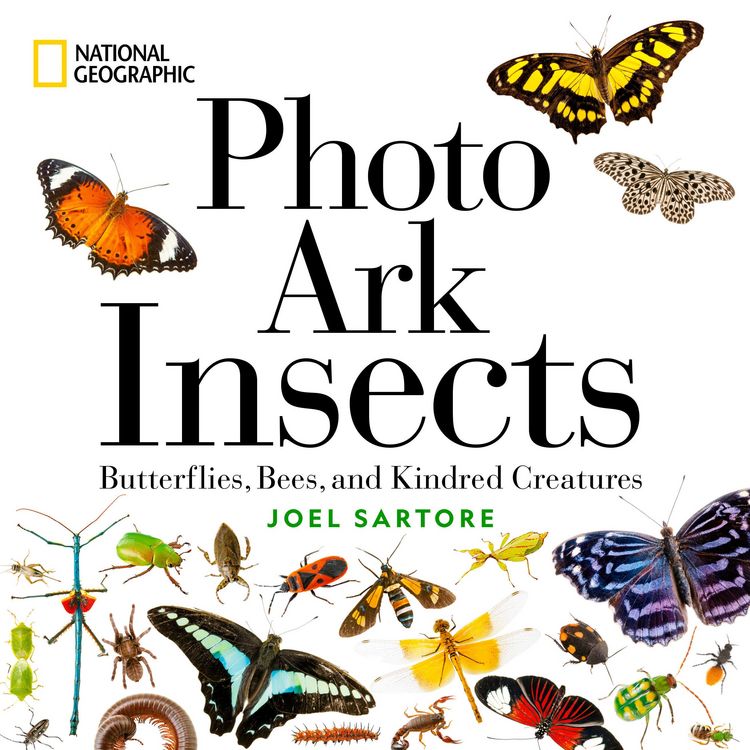 Produktbild: National Geographic Photo Ark Insects