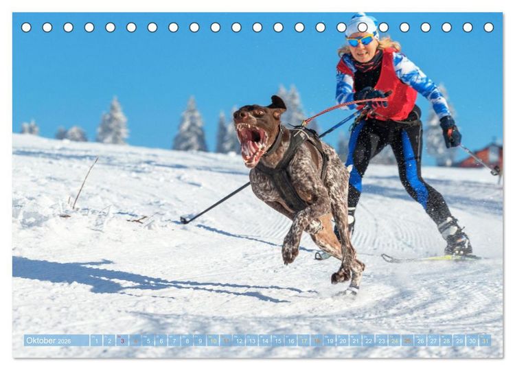 Produktbild: Schlittenhunderennen: Rasantes Schneetreiben (Tischkalender 2026 DIN A5 quer), CALVENDO Monatskalender