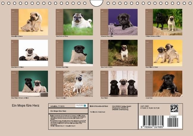 Produktbild: Ein Mops f&uuml;rs Herz (Wandkalender immerw&auml;hrend DIN A4 quer)