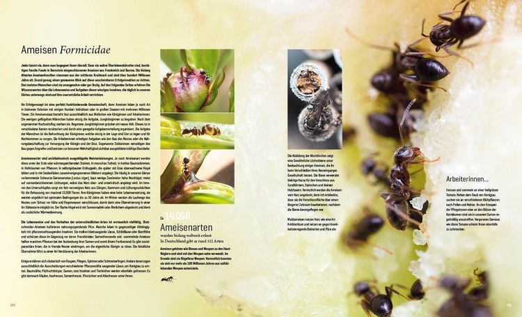Produktbild: Mein Artenretter Garten