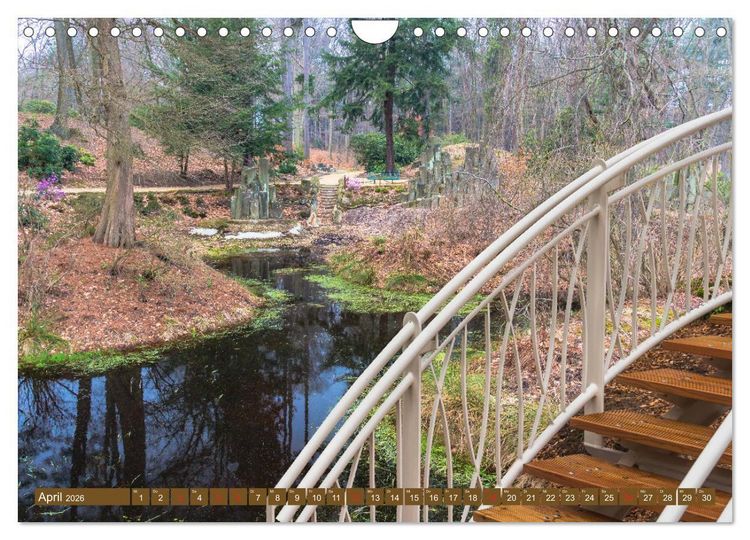 Produktbild: Parkgemeinde Kromlau (Wandkalender 2026 DIN A4 quer), CALVENDO Monatskalender