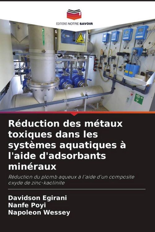 Produktbild: R&eacute;duction des m&eacute;taux toxiques dans les syst&egrave;mes aquatiques &agrave; l'aide d'adsorbants min&eacute;raux