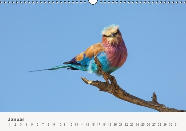 Produktbild: Faszination Ostafrika - Tierwelt und Natur aus Kenia und Tansania (Wandkalender immerw&auml;hrend DIN A3 quer)