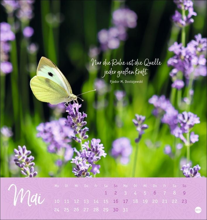 Produktbild: Stille Momente Postkartenkalender 2027