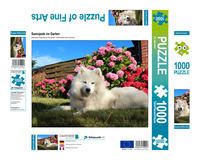 Produktbild: CALVENDO Puzzle Samojede im Garten | 1000 Teile Lege-Gr&ouml;&szlig;e 64 &times; 48 cm Foto-Puzzle f&uuml;r gl&uuml;ckliche Stunden