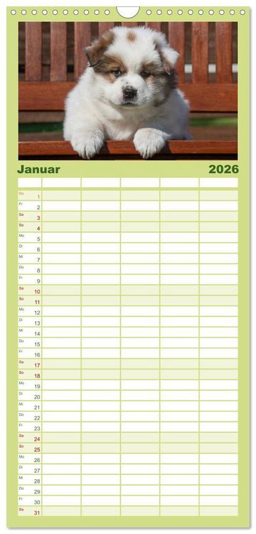 Produktbild: Familienplaner 2026 - Welpen 2026 mit 5 Spalten (Wandkalender, 21 x 45 cm) CALVENDO
